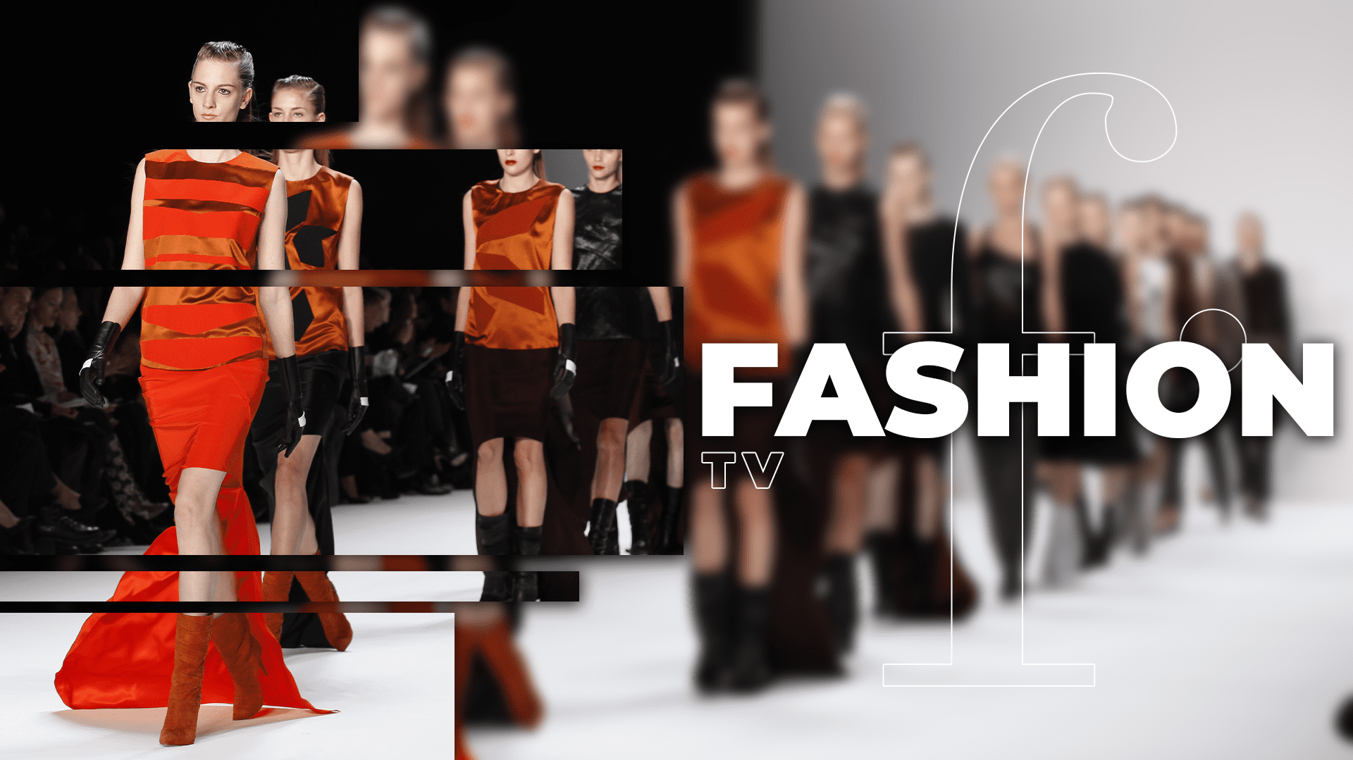 Fashion Designer 